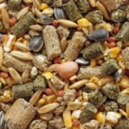 caviakorrel premium 5kg, Dieren en Toebehoren, Knaagdieren, Meerdere dieren, Cavia, Februari, Tam