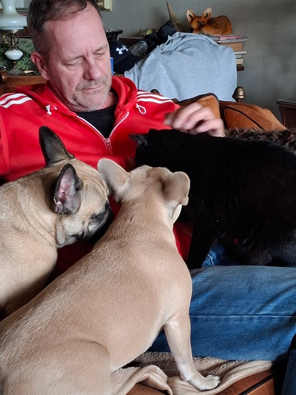 Wij zoeken een maatje voor onze Toby !, Geslacht onbekend, Kortharig