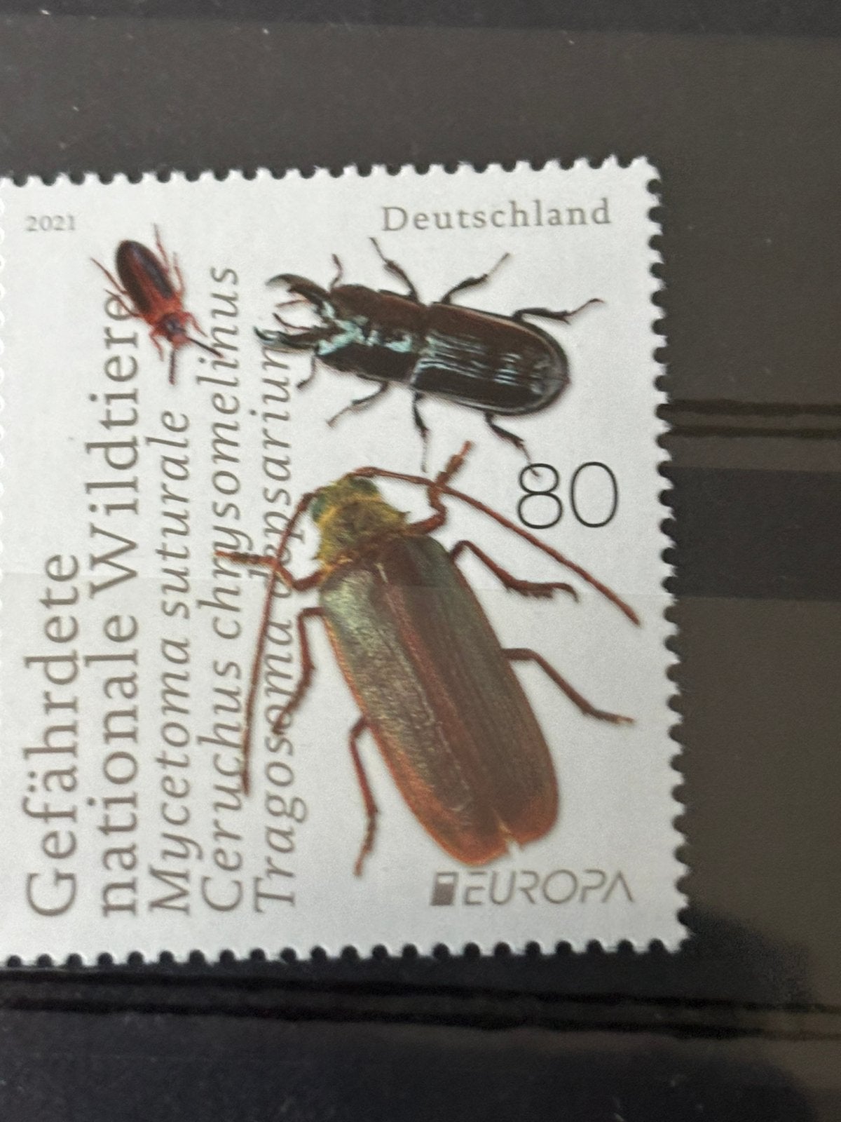Insecten, verenigde Europa, Duitsland 2021, Ophalen of Verzenden, Postfris, Dier of Natuur