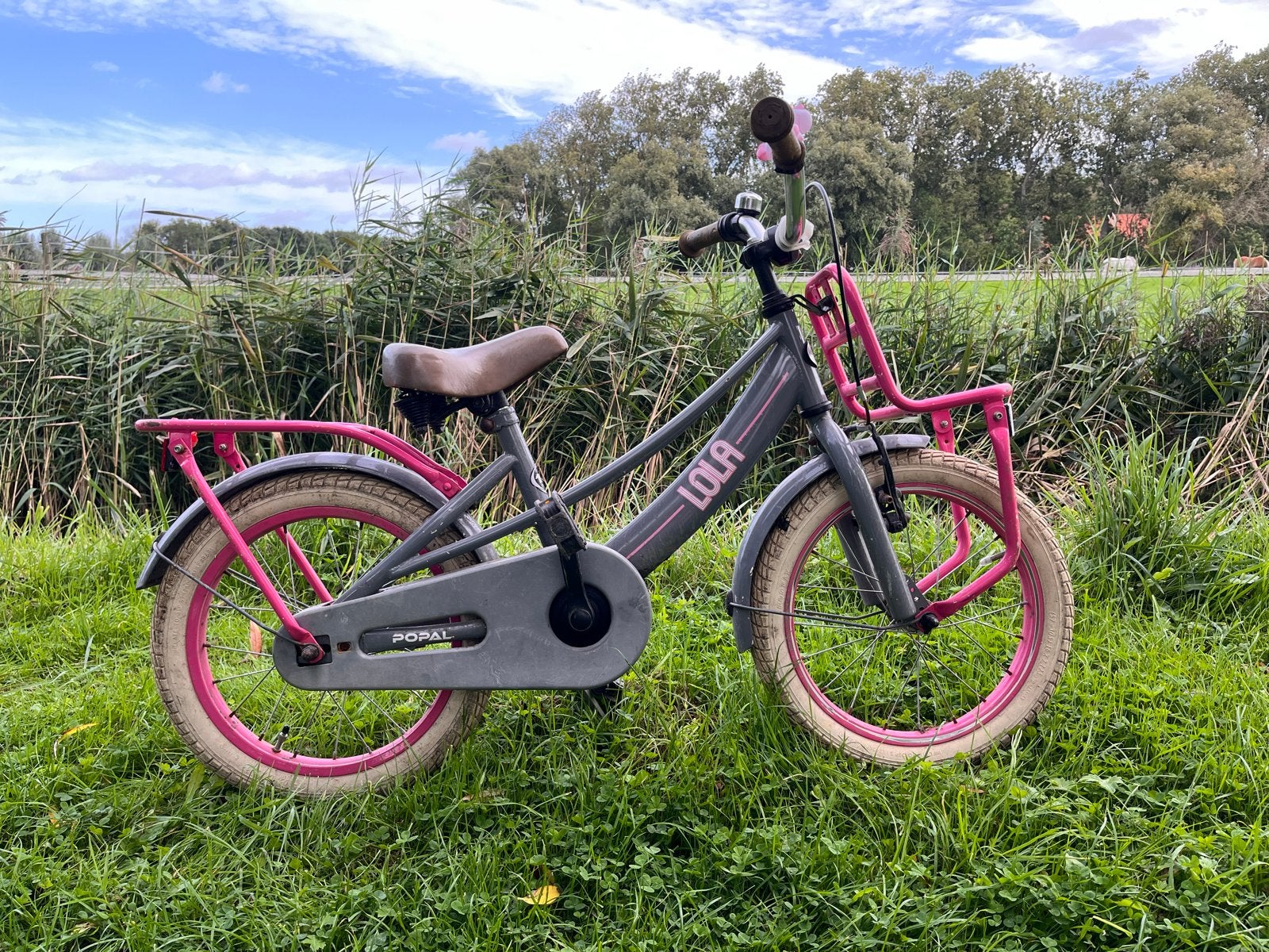 Popal Lola Kinderfiets - 16 inch - Grijs/Roze, Ophalen, Gebruikt, Velgrem, 16 tot 20 inch
