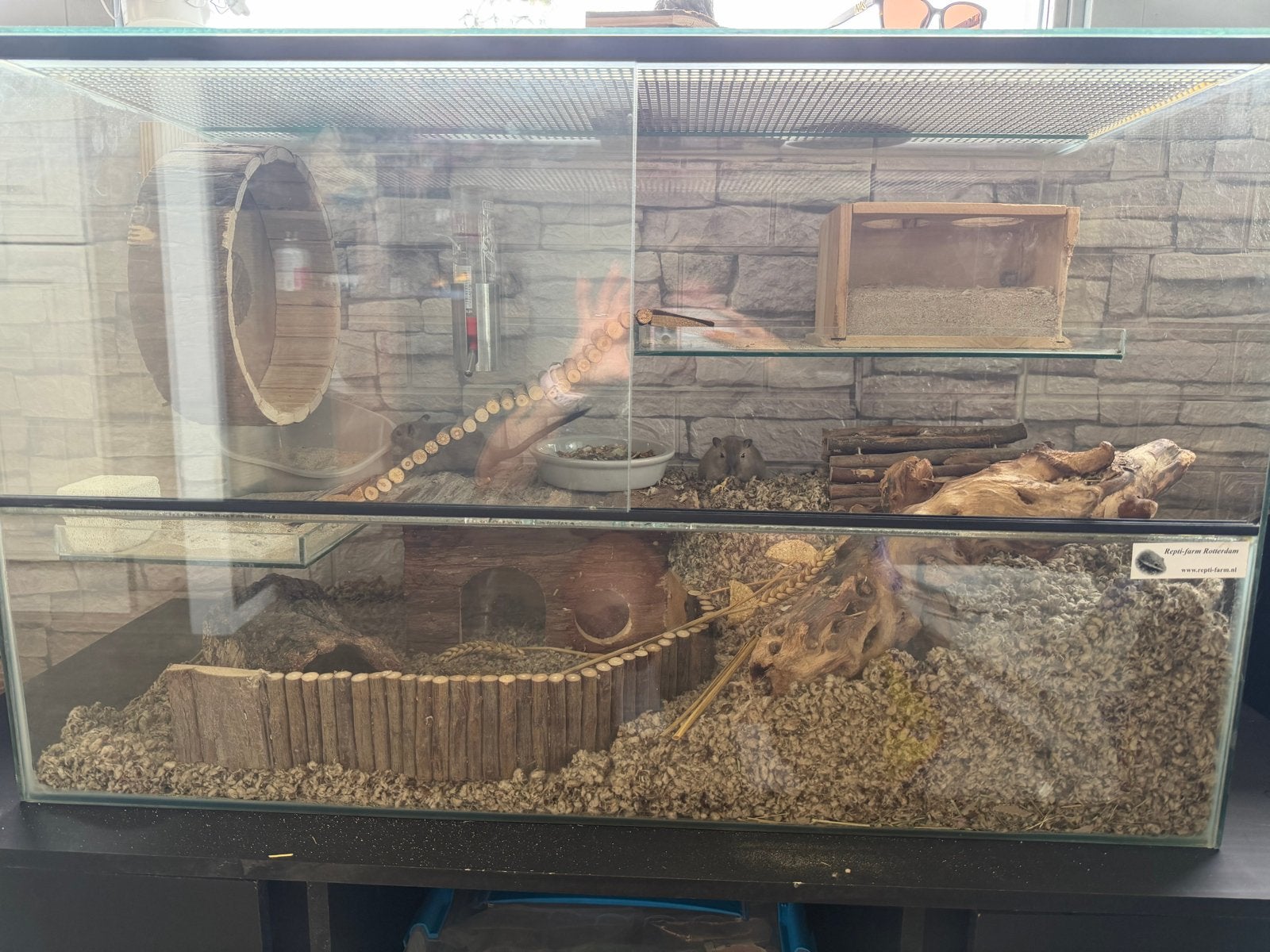 Terrarium, Overige typen, 75 tot 110 cm, Ophalen, Minder dan 60 cm