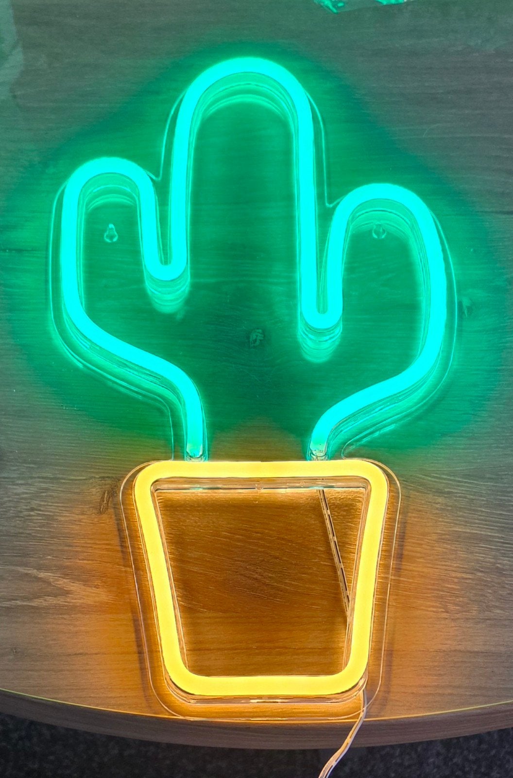 2 cactussen led. nieuw, Ophalen of Verzenden, Nieuw