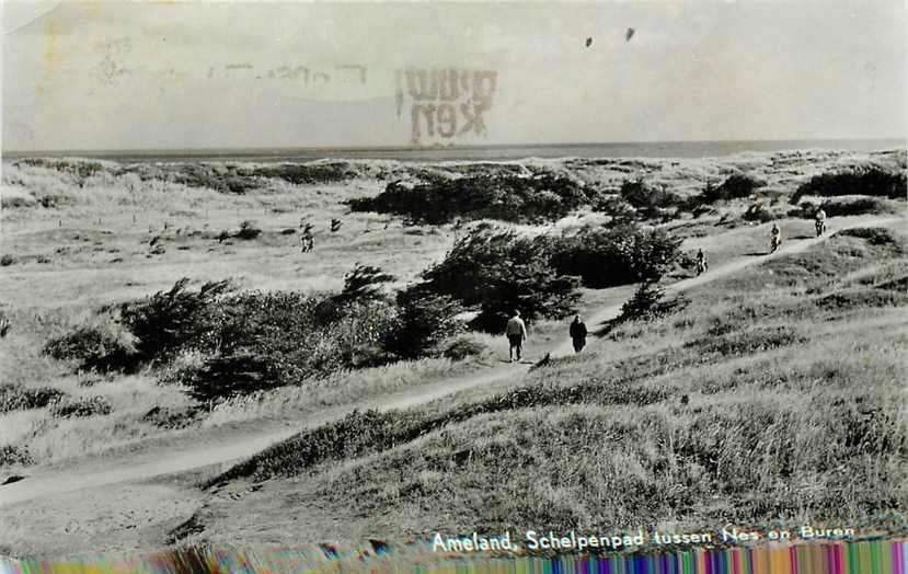 377-674-001 Ameland Schelpenpad, Verzenden, Voor 1920, Friesland