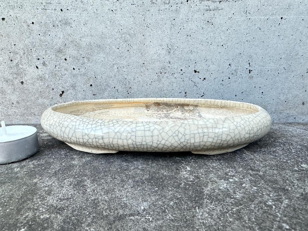 Bonsai schaal pot 18x10x2,5cm ****, Ophalen of Verzenden, Zo goed als nieuw, Overige vormen, Aardewerk