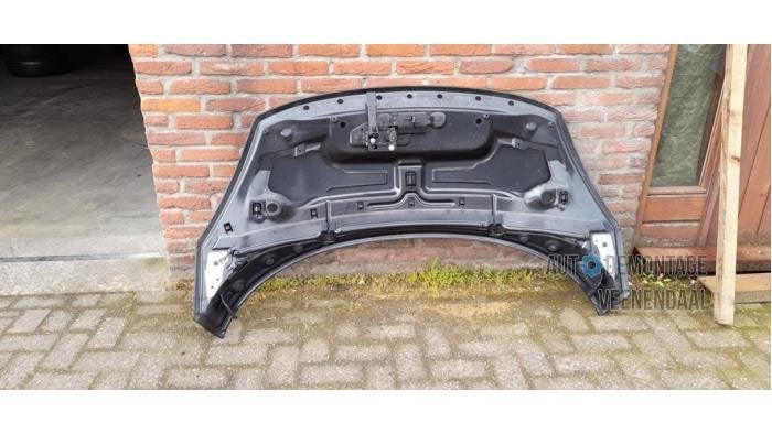 Motorkap van een Renault Scenic (NV676), Gebruikt, -, Renault, -