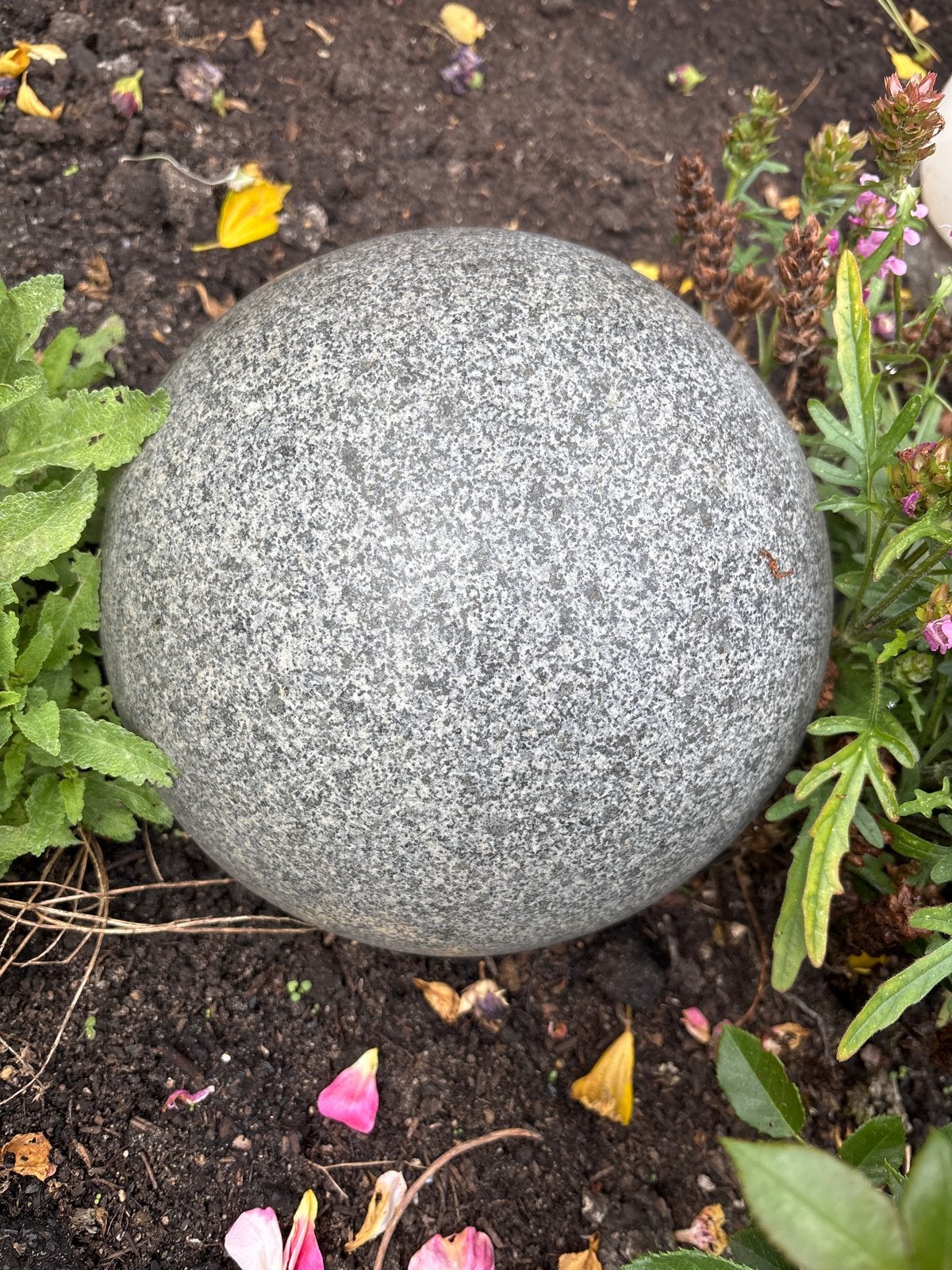 Massieve zware graniet stenen bol - Tuindecoratie (Ø 25 cm), Ophalen, Zo goed als nieuw, Steen, Overige typen