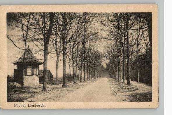 Prinsenhage Koepel Liesbosch uitg H. Takx, Verzenden, 1920 tot 1940, Ongelopen, Noord-Brabant