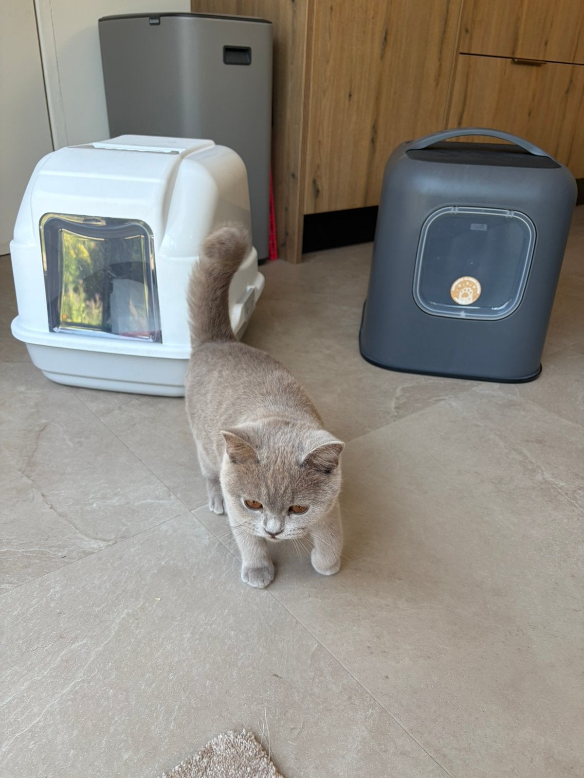 2 schone kattenbakken, Ophalen, Zo goed als nieuw, Gesloten