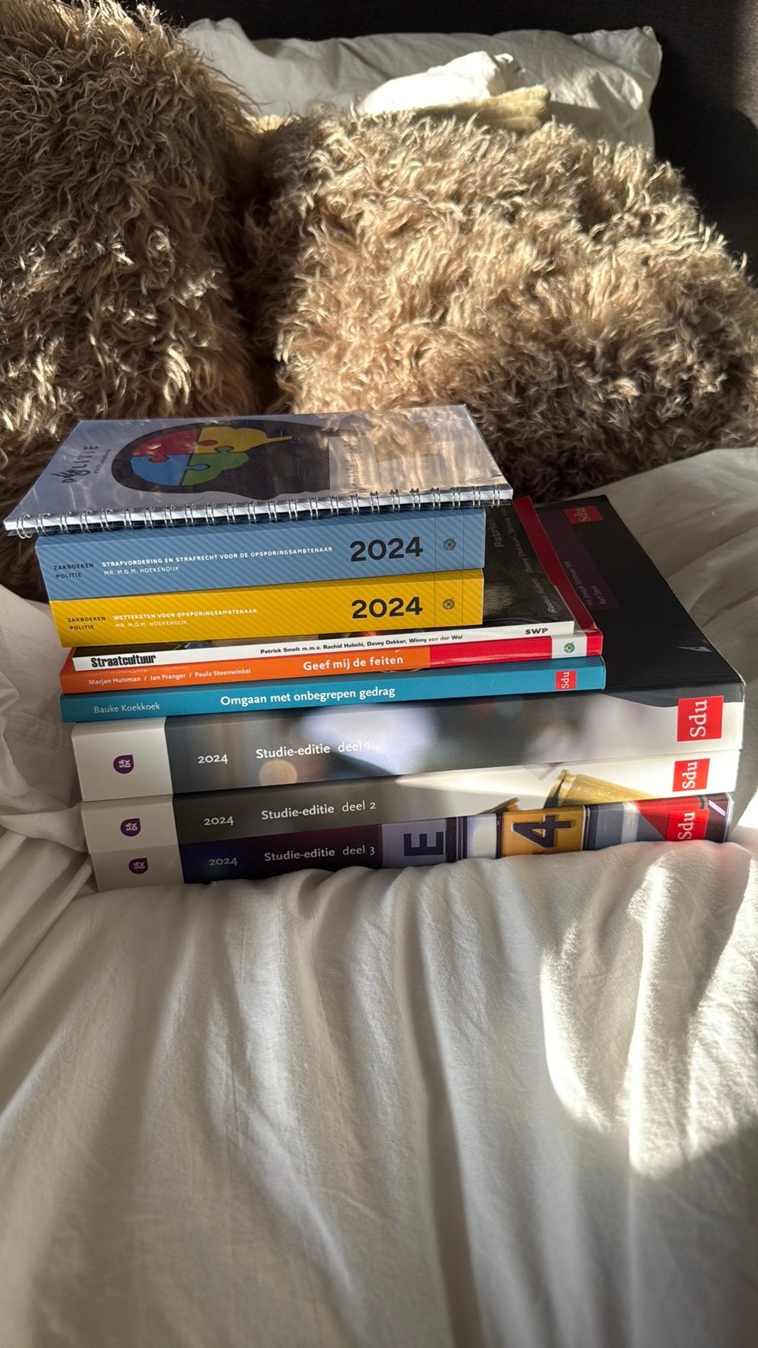 9 Politieacademie studieboeken | Stapel & De Koning |, Boeken, Ophalen of Verzenden, Beta, Zo goed als nieuw