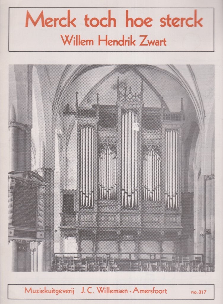 WILLEM HENDRIK ZWART - MERCK TOCH HOE STERCK, Muziek en Instrumenten, Ophalen of Verzenden, Gebruikt, Artiest of Componist, Populair