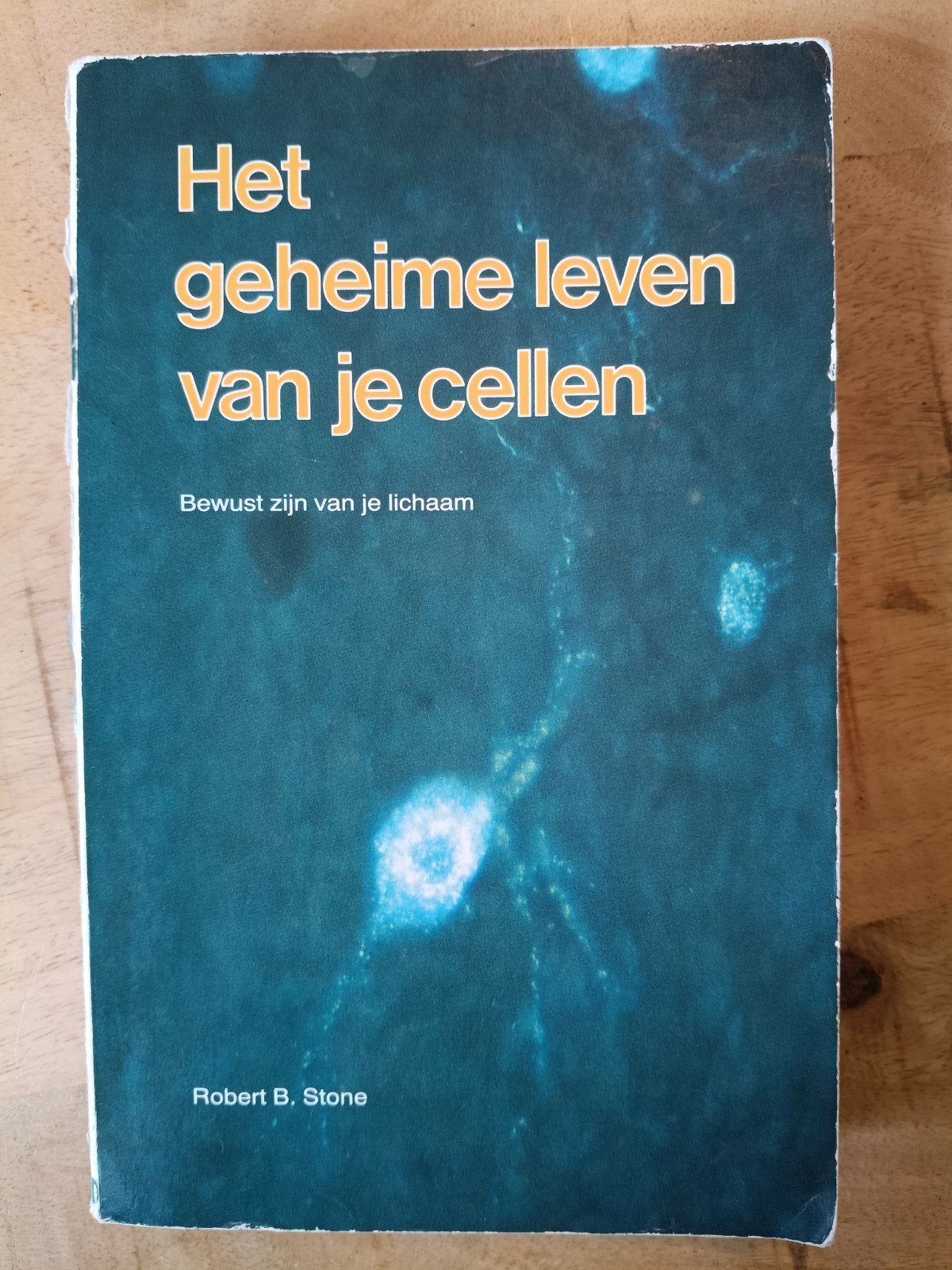 Het geheime leven van je cellen - Robert B. Stone, Ophalen of Verzenden, Gelezen, Spiritualiteit algemeen, Achtergrond en Informatie