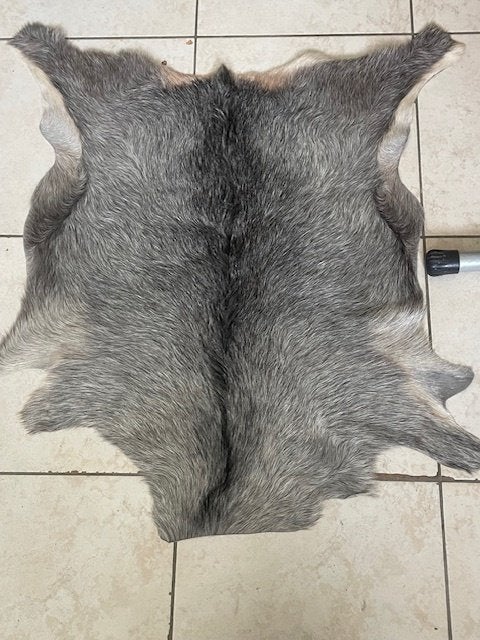 Mooie Geitenhuid, Gebruikt, 50 tot 100 cm, Overige vormen, 50 tot 100 cm