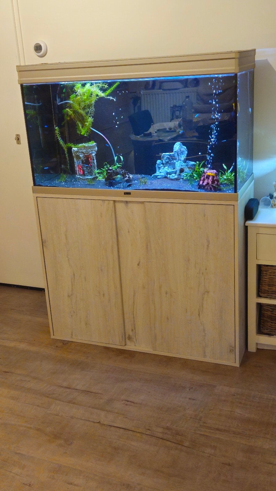 Aquarium van 102x40x60 inclusief kast en pomp, Ophalen, Gebruikt, Aquatlantis, Gevuld zoetwateraquarium