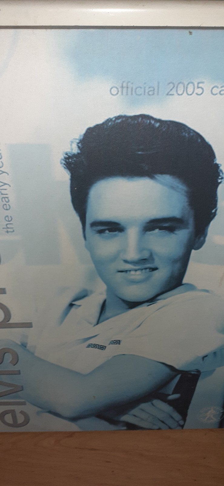 Elvis Presley  schilderij zie foto.s, Ophalen, Zo goed als nieuw
