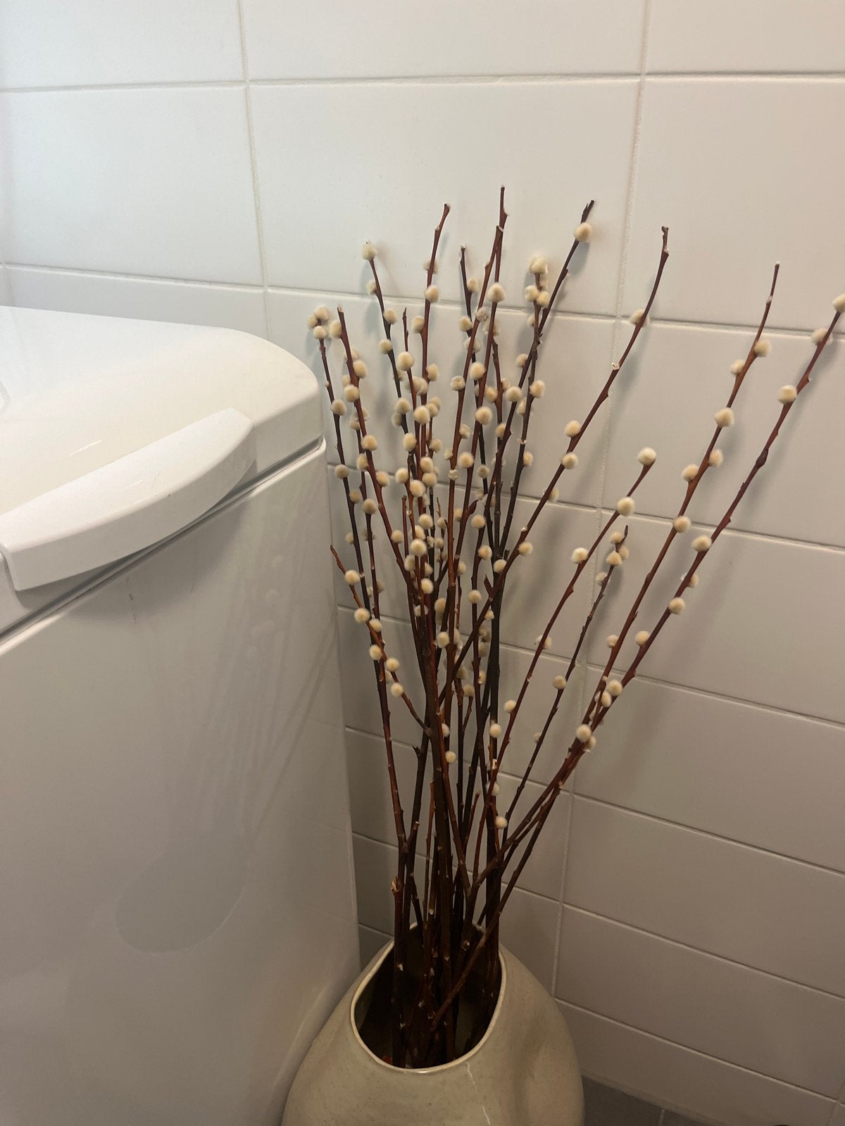 Decoratieve kattenstaart droogbloemen bos, Ophalen of Verzenden, Zo goed als nieuw