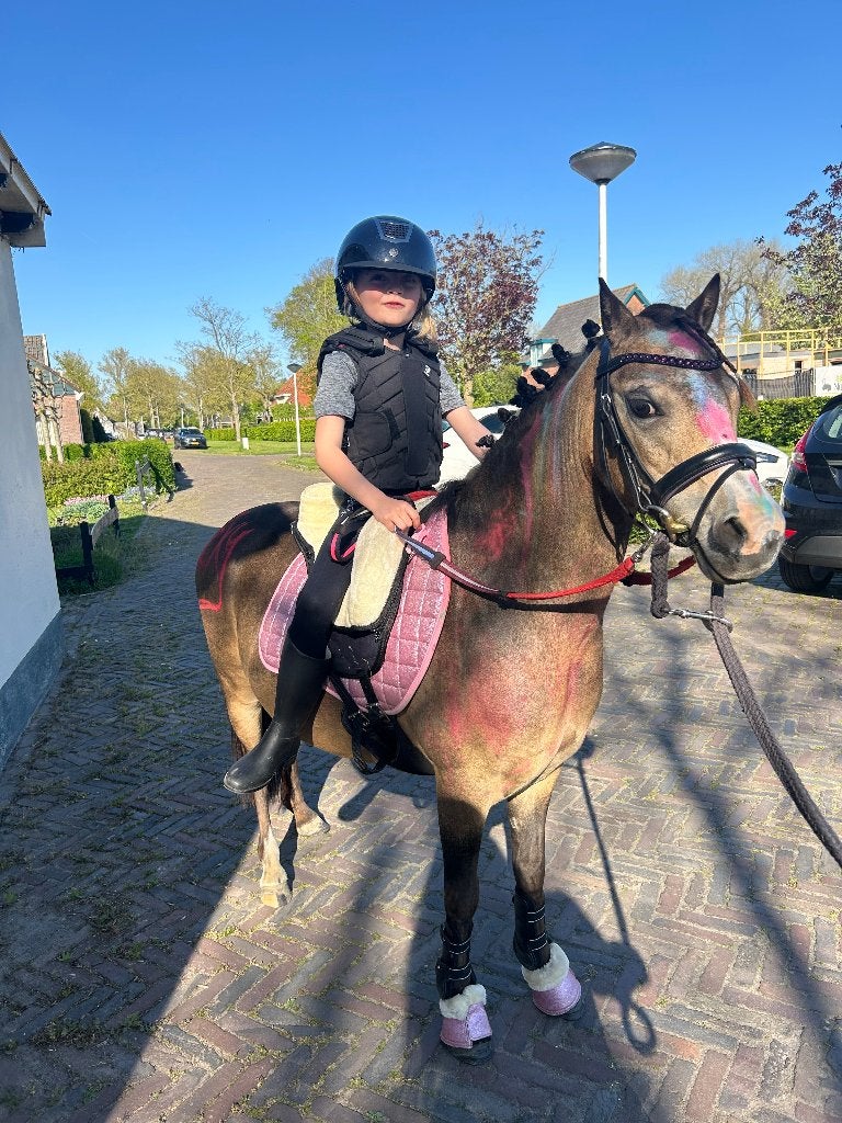 Allerliefste bixie welsh a pony, Dieren en Toebehoren, Pony's, Merrie, Met stamboom, Zadelmak, A pony (tot 1.17m)