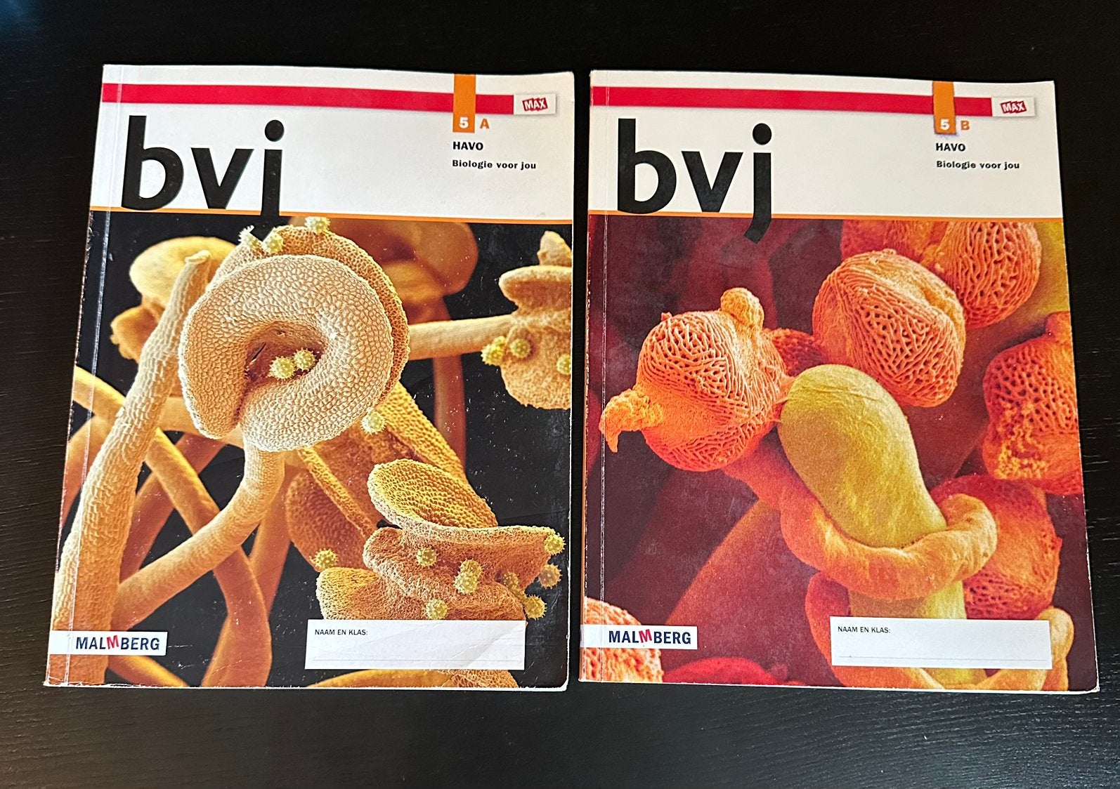 Biologie 5 Havo boek A en B, Boeken, Schoolboeken, Ophalen, Zo goed als nieuw, HAVO, Biologie