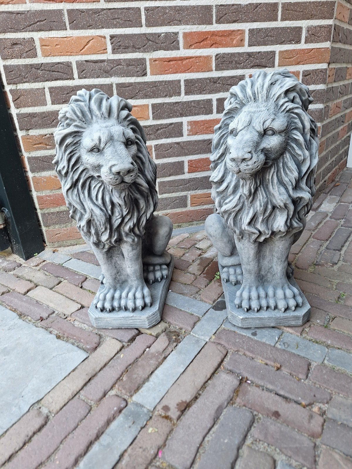 Set van 2 betonnen leeuwenbeelden - 55 cm hoog, Tuin en Terras, Tuinbeelden, Ophalen, Nieuw, Beton, Dierenbeeld