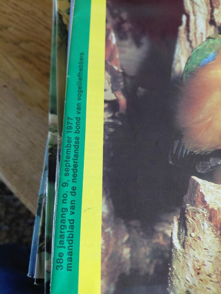 Onze vogels colectie van 1973 tot en met 2023, Ophalen of Verzenden
