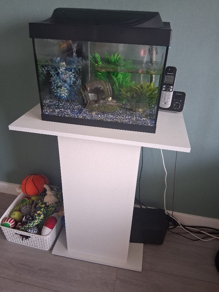 Aquarium met meubel, Ophalen, Gebruikt, Overige typen, Inclusief vissen