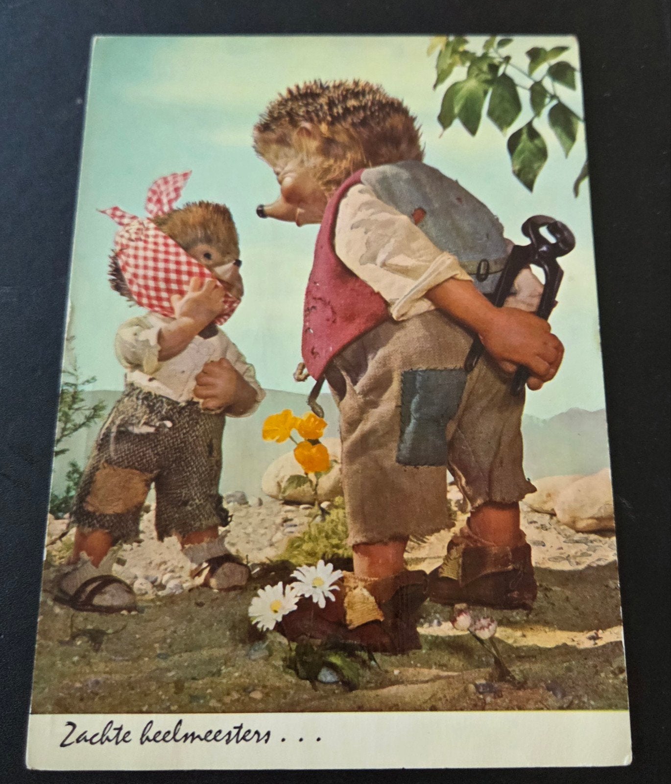 Zachte heelmeesters - Egels, Verzamelen, Ansichtkaarten | Themakaarten, Ongelopen, 1940 tot 1960, Kinderen, Verzenden