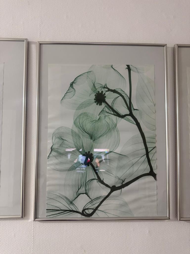 Diverse fotolijsten: 3x 80x60 cm, 5x 43x33 cm, Ophalen, Gebruikt, Metaal of Aluminium, 75 cm of meer