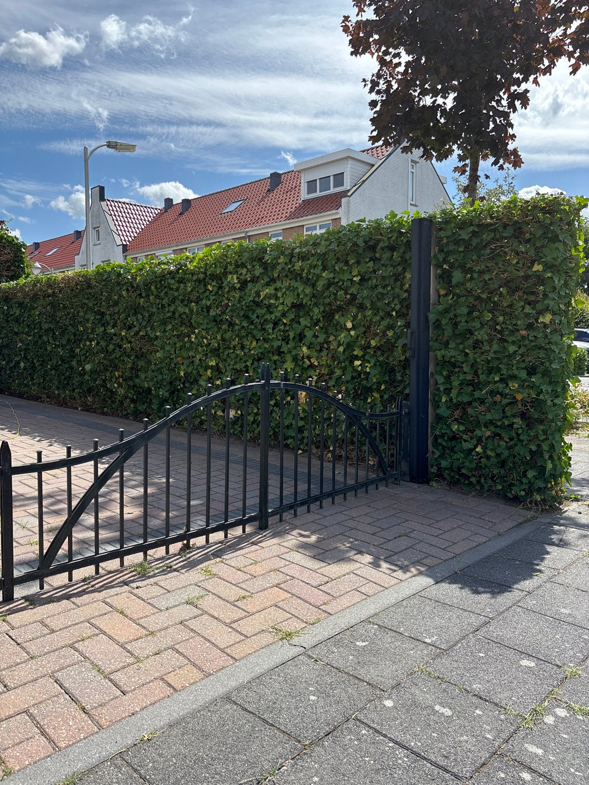 Smeedijzeren groen poorthek (2,5m breed), Ophalen, Met poort, Gebruikt, Sierhekwerk