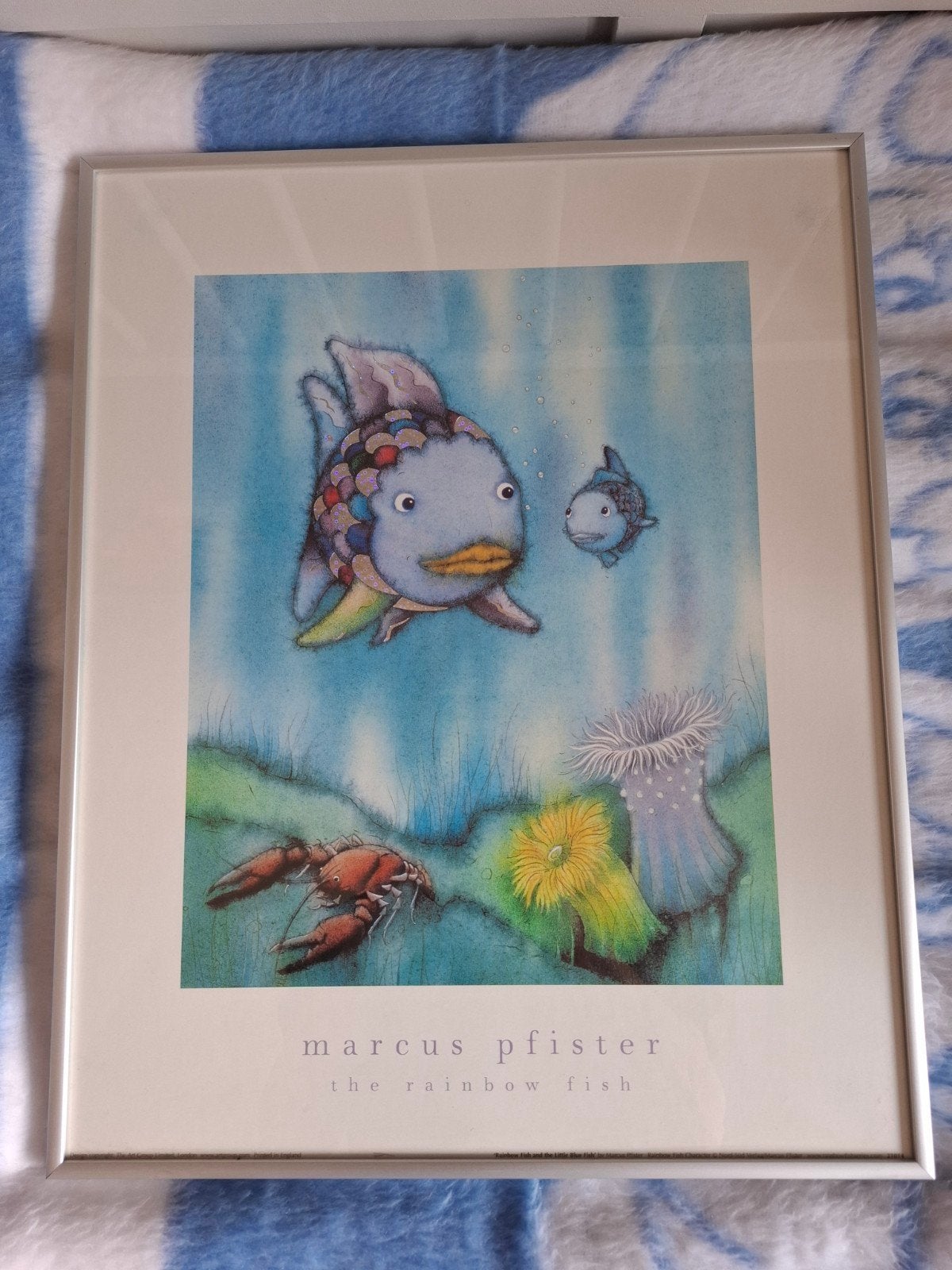 De Regenboogvis - Marcus Pfister ingelijste print, Ophalen, Zo goed als nieuw