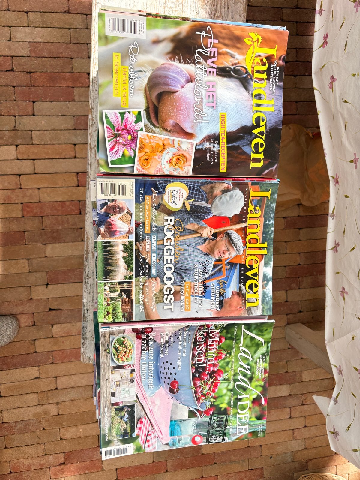 Grote stapel Landleven tijdschriften, Ophalen, Gelezen, Overige typen