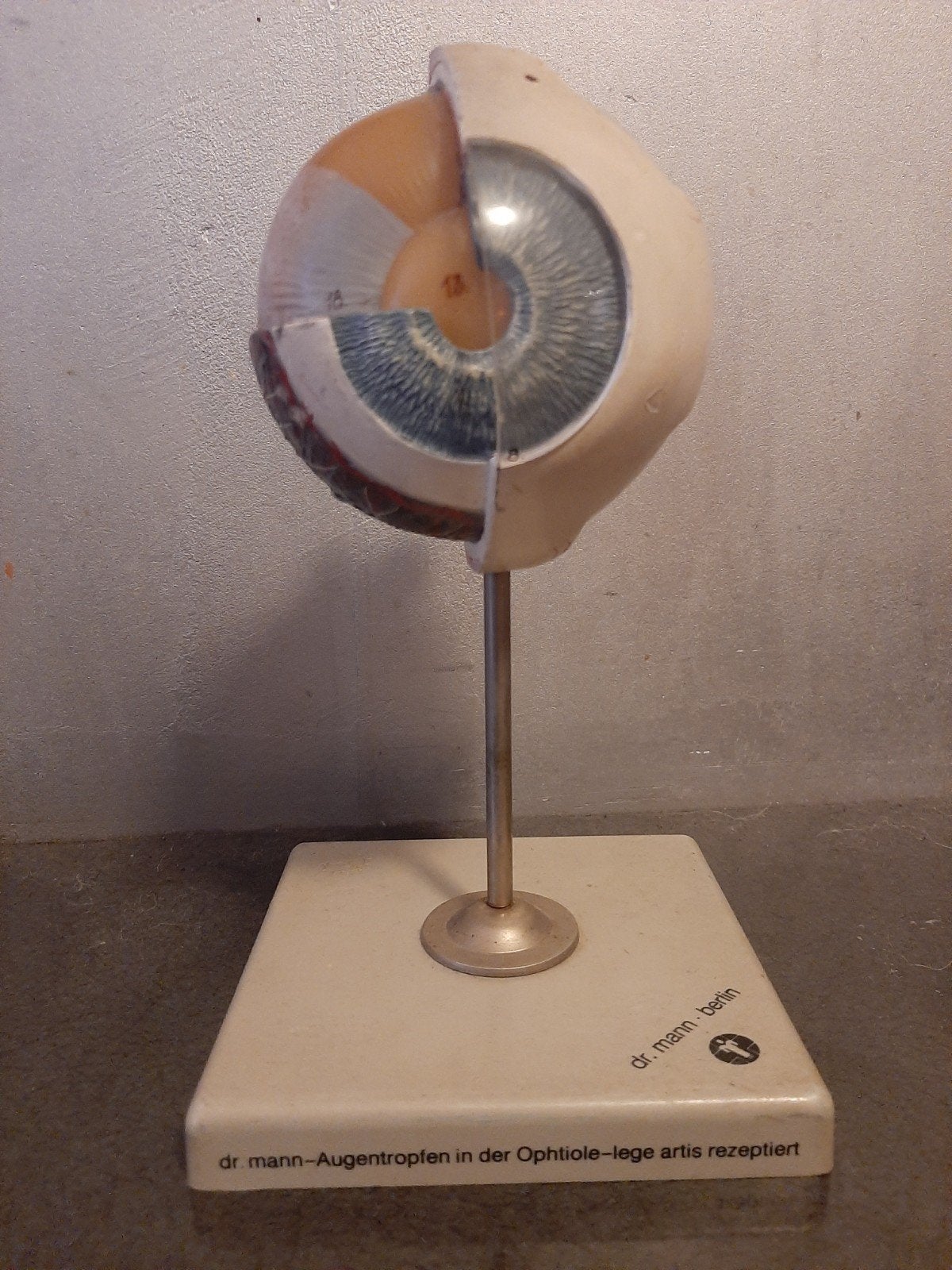 anatomisch model oog, Ophalen of Verzenden, Educatief, Zo goed als nieuw, Kunststof