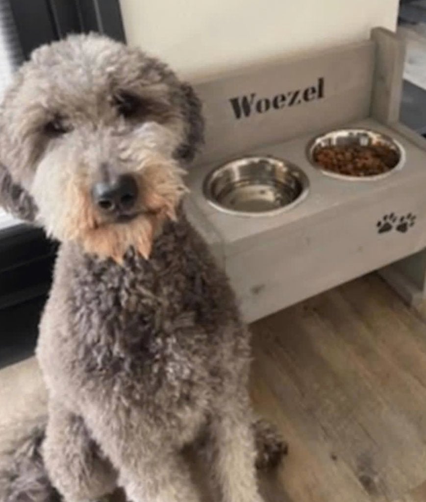 Diverse unieke steigerhouten voerbakken met NAAM HOND, Ophalen of Verzenden, Nieuw