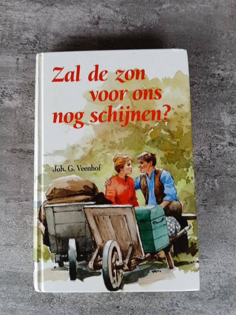 Roman Zal de zon voor ons nog schijnen? Joh.G.Veenhof., Boeken, Ophalen of Verzenden