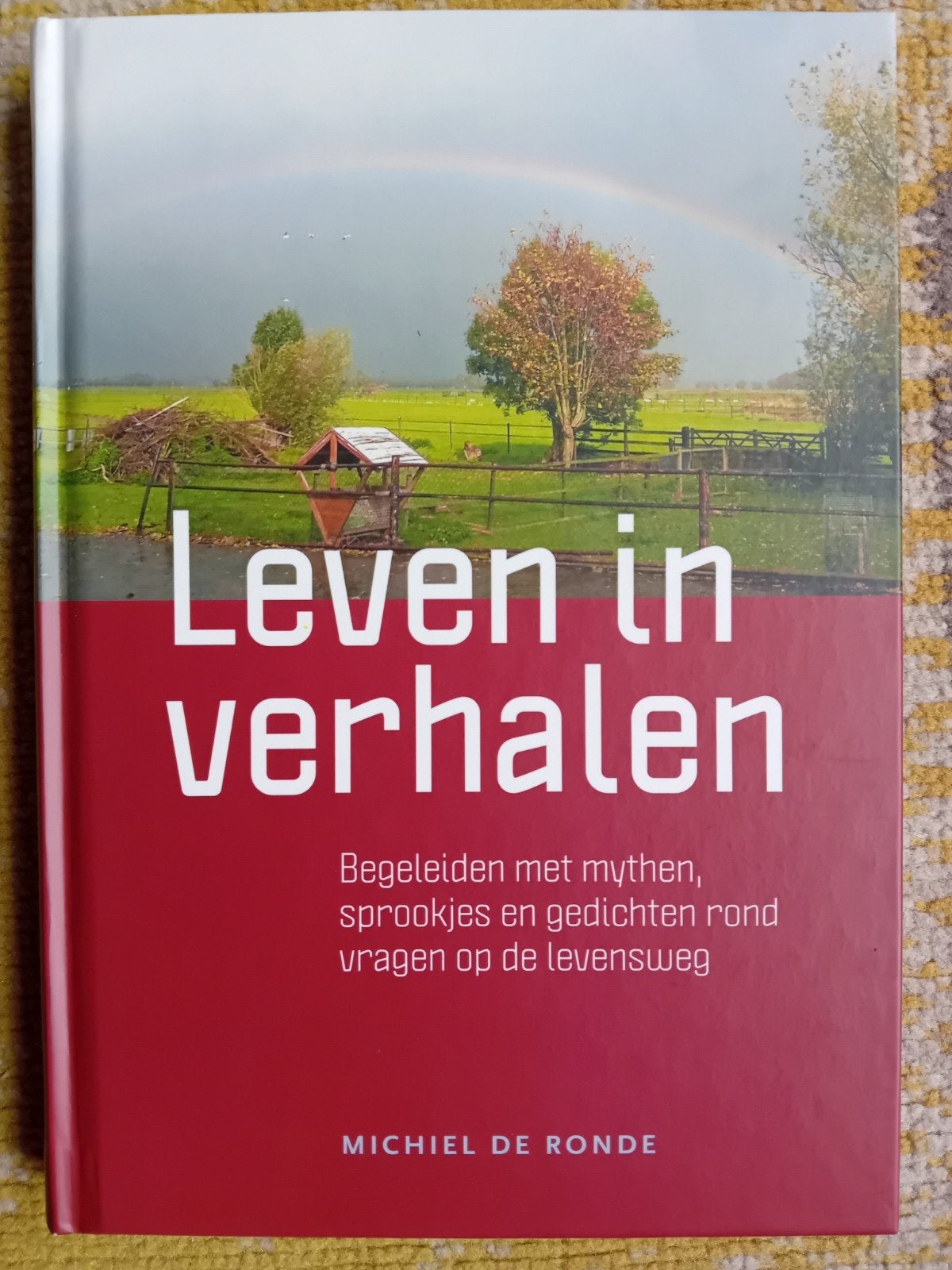 Leven in Verhalen - Michiel de Ronde (Boek), Ophalen of Verzenden, Zo goed als nieuw