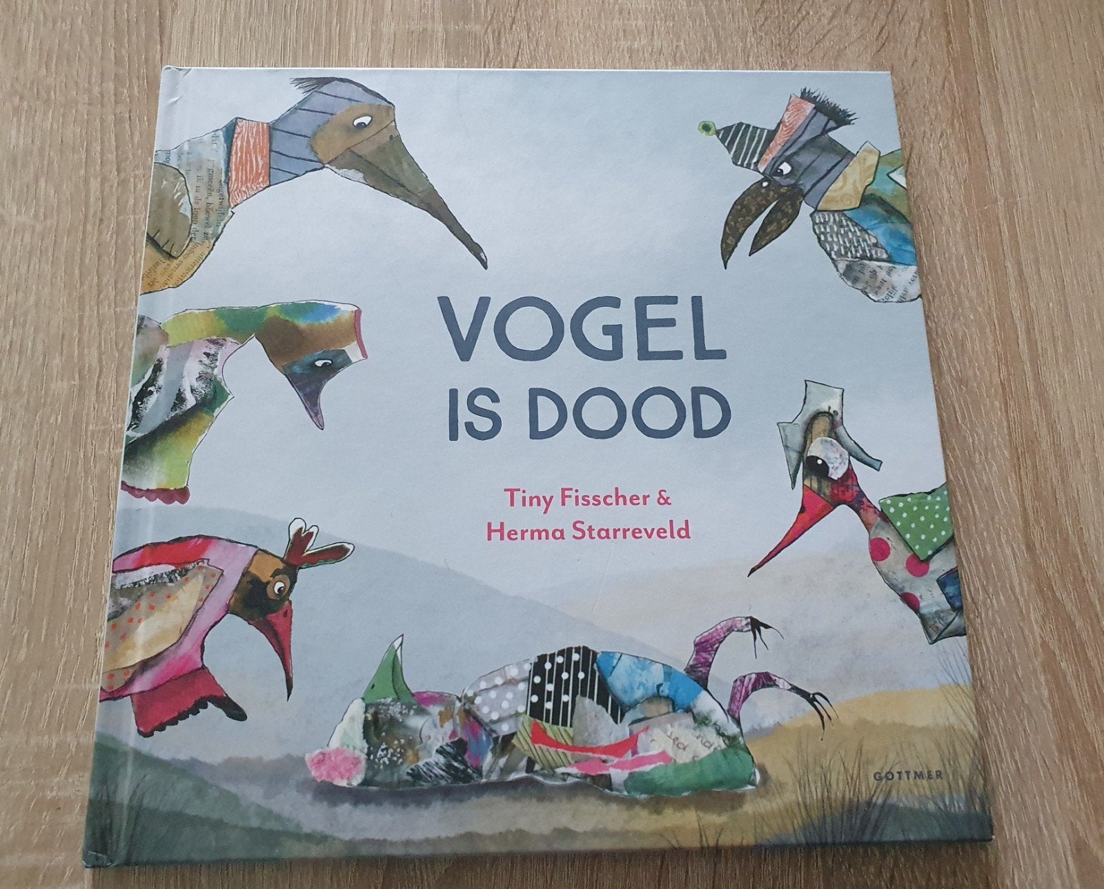 Vogel is Dood - Prentenboek over afscheid nemen, Ophalen of Verzenden, Zo goed als nieuw, Tiny Fisscher & Herma Starreveld, Prentenboek