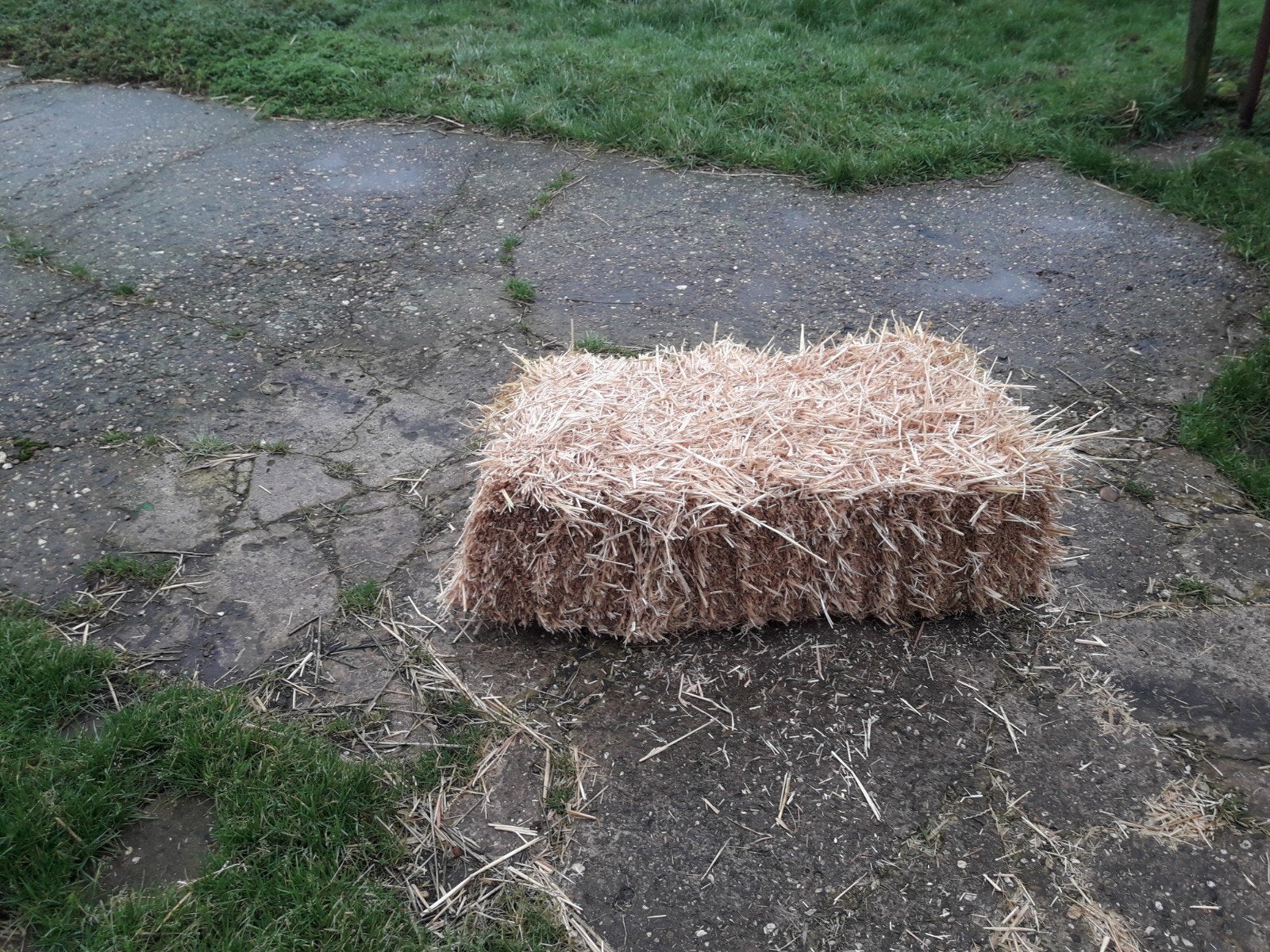 Stro baaltjes te koop, Dieren en Toebehoren, Ophalen