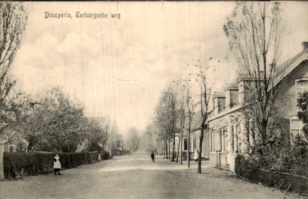 Dinxperlo - Terborgsche weg - Straat met huizen, Verzamelen, Ophalen of Verzenden, Voor 1920, Gelopen, Gelderland