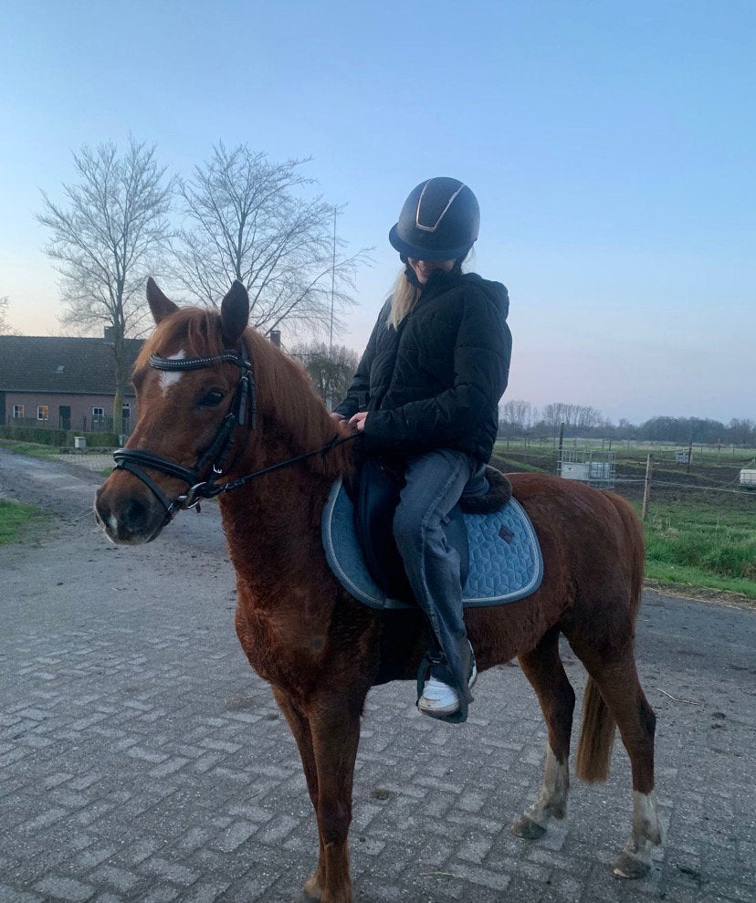 Verzorgpony gezocht, Ophalen of Verzenden