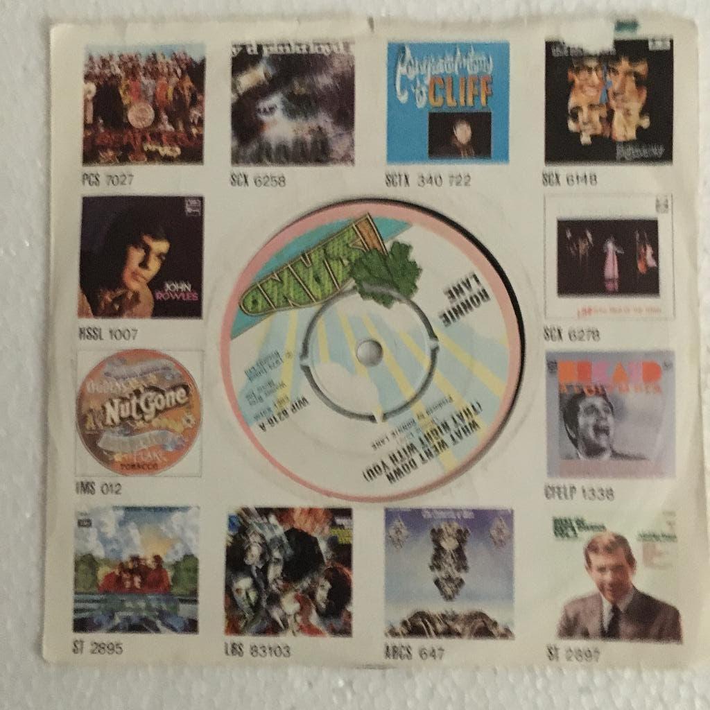 single vinyl RONNIE LANE–What Went Down(That Night With you), Verzenden, Gebruikt, Rock en Metal