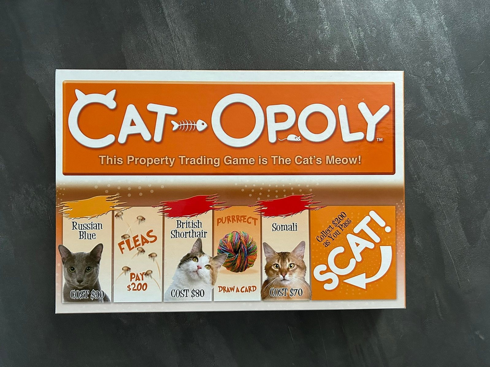 Cat-Opoly, Ophalen of Verzenden, Zo goed als nieuw