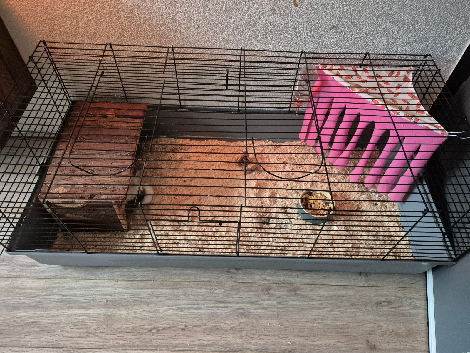 hok met cavia en toebehoren, Dieren en Toebehoren, 110 cm of meer, Hok, Cavia, Ophalen