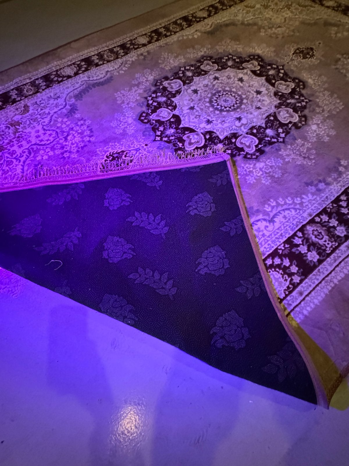 Vloerkleed 3x2 meter - Gebruikt, goede staat, opvouwbaar, Ophalen, Gebruikt, Bruin, 200 cm of meer
