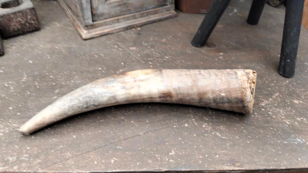 Brocante decoratieve hoorn (1), Ophalen of Verzenden
