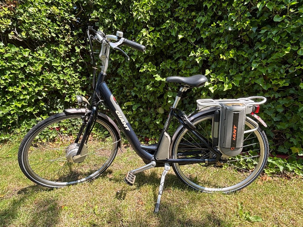 Giant Double Twist elektrische damesfiets - Framemaat 44 cm, Ophalen, Minder dan 30 km per accu, Gebruikt, Giant