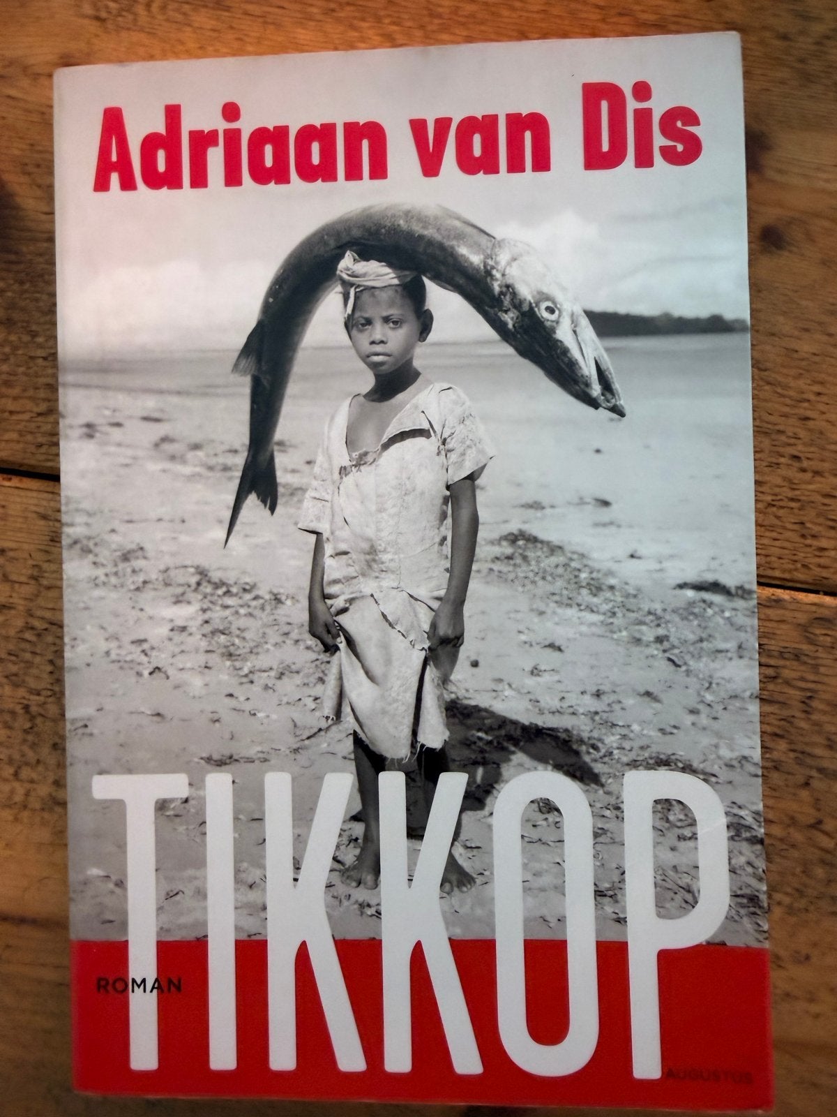 Adriaan van Dis - Tikkop (Roman), Ophalen of Verzenden, Zo goed als nieuw, Nederland