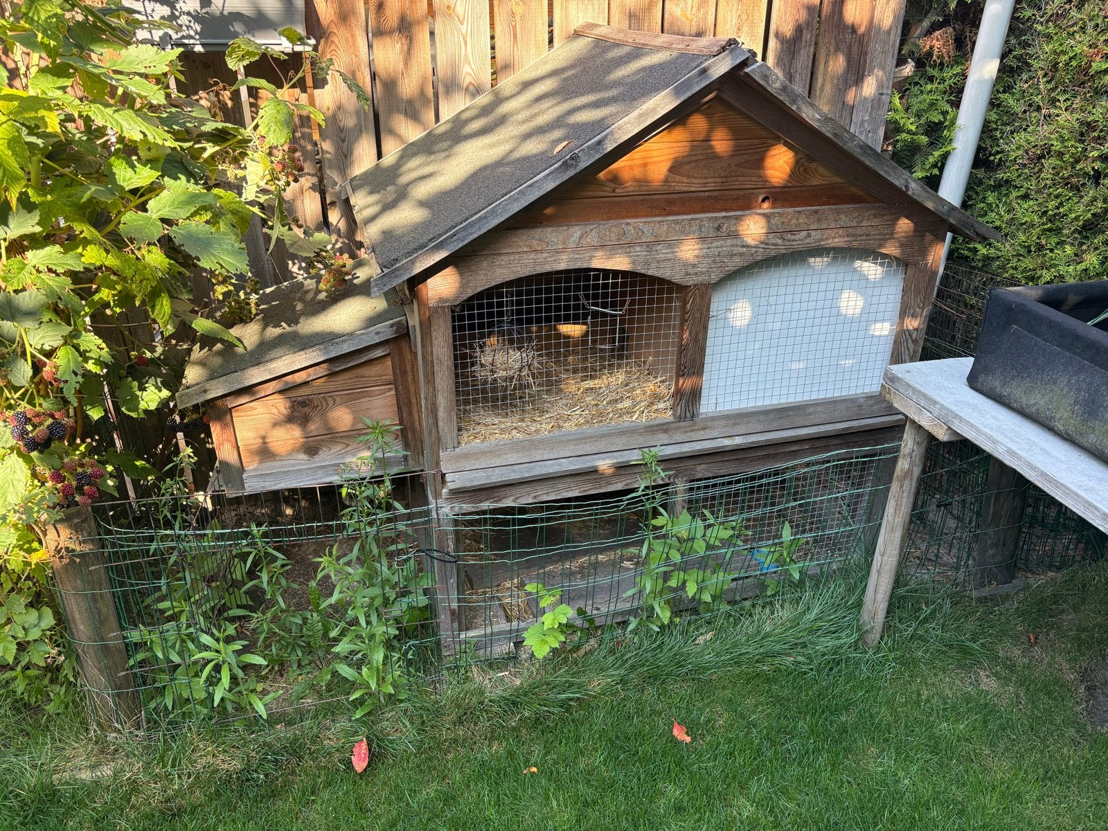 Gratis af te halen konijnenhok 2 etages 3 ruimtes, Dieren en Toebehoren, Vogels | Hokken en Kooien, Ophalen, Gebruikt, Hout, Vogelkooi