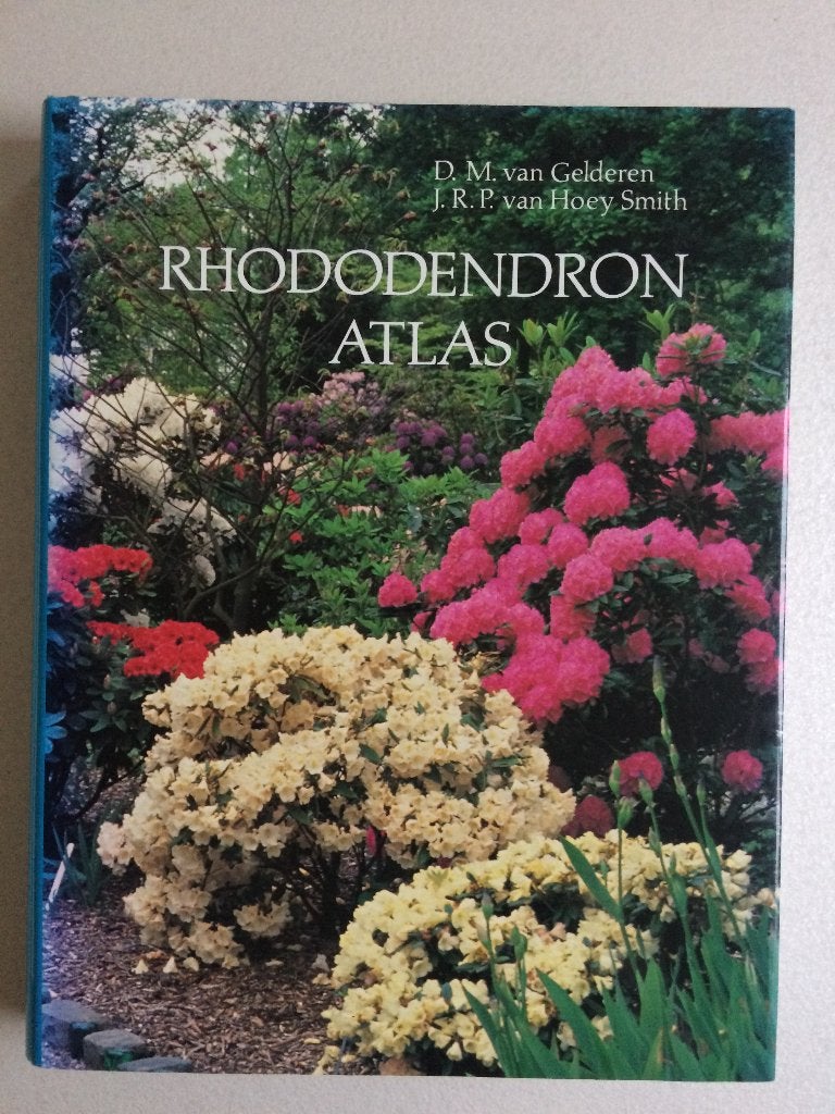 Rhododendron atlas - D. van Gelderen. Rododendron., Overige soorten, Volle zon, Vaste plant, Ophalen of Verzenden