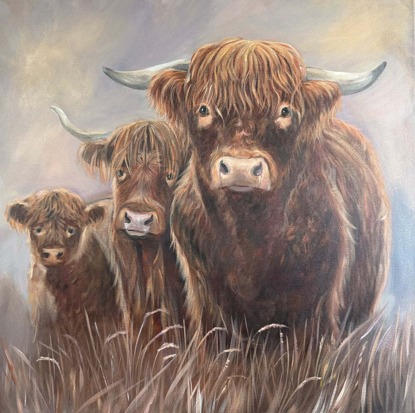 Schilderij schotse hooglanders, Oorspronkelijke maker, Nieuw, Ophalen of Verzenden, Schilderij
