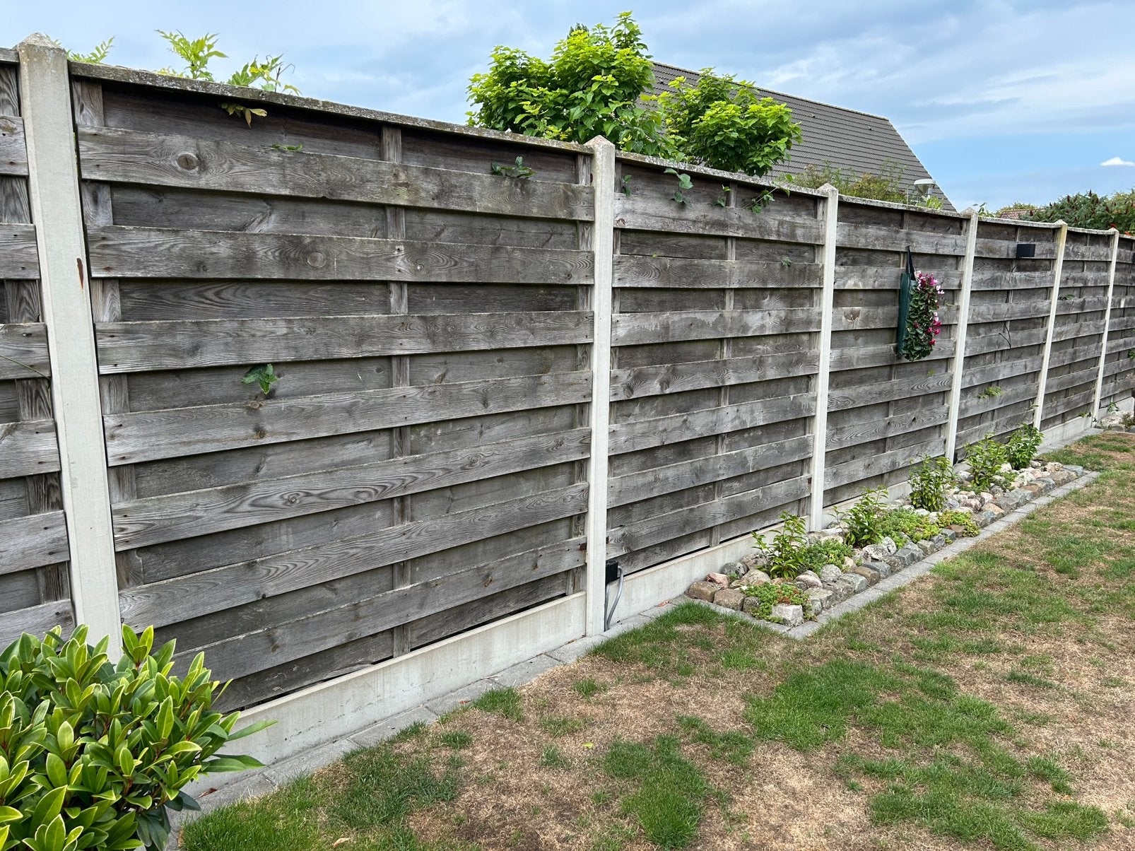 Schutting panelen, Tuin en Terras, Schuttingen, Ophalen, 6 meter of meer, Hout, 1 tot 2 meter