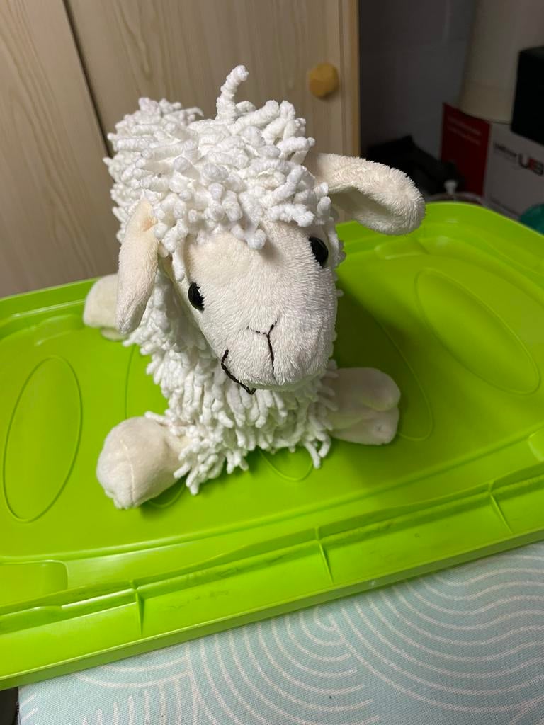 Schaap, Ophalen of Verzenden, Overige typen