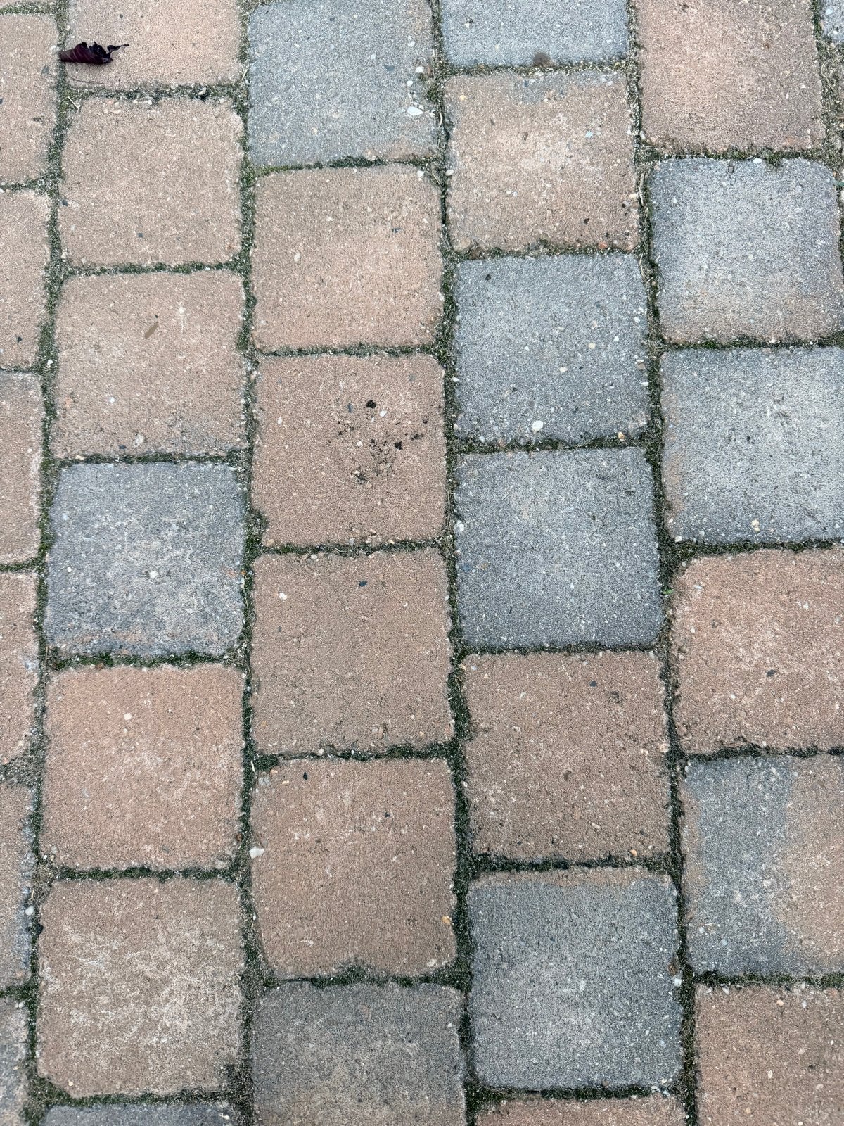 15x15x6 cm Tegels - Rood/Grijs varianten, Tuin en Terras, Ophalen, Gebruikt, Minder dan 5 m², Beton